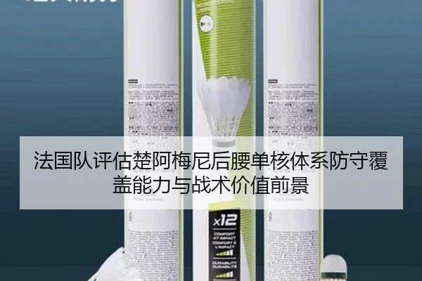 法国队评估楚阿梅尼后腰单核体系防守覆盖能力与战术价值前景