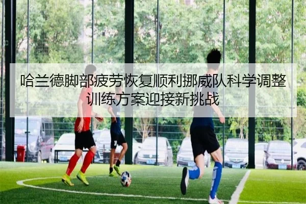 哈兰德脚部疲劳恢复顺利挪威队科学调整训练方案迎接新挑战
